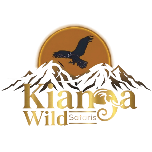 KIANGA WILD SAFARIS